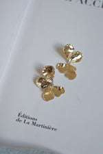 Charger l'image dans la galerie, Delphinium
