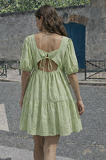 Charger l'image dans la galerie, Pistacia
